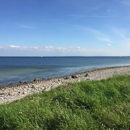 Baltic Joy Daire *